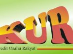 Ilustrasi : Kredit Usaha Rakyat (KUR) Mandiri, BRI, BSI